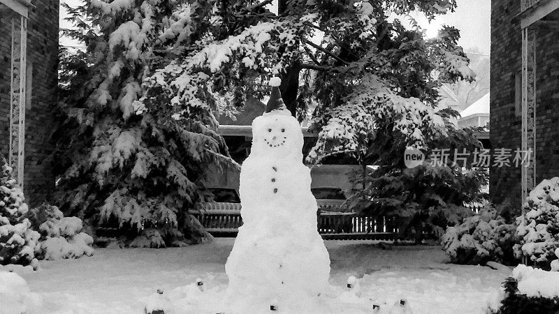 Snowman Between Two Brick Buildings and Snow Covered Pine Tree